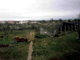 kabrnja nakon osloboenja u Oluji - Slika 11